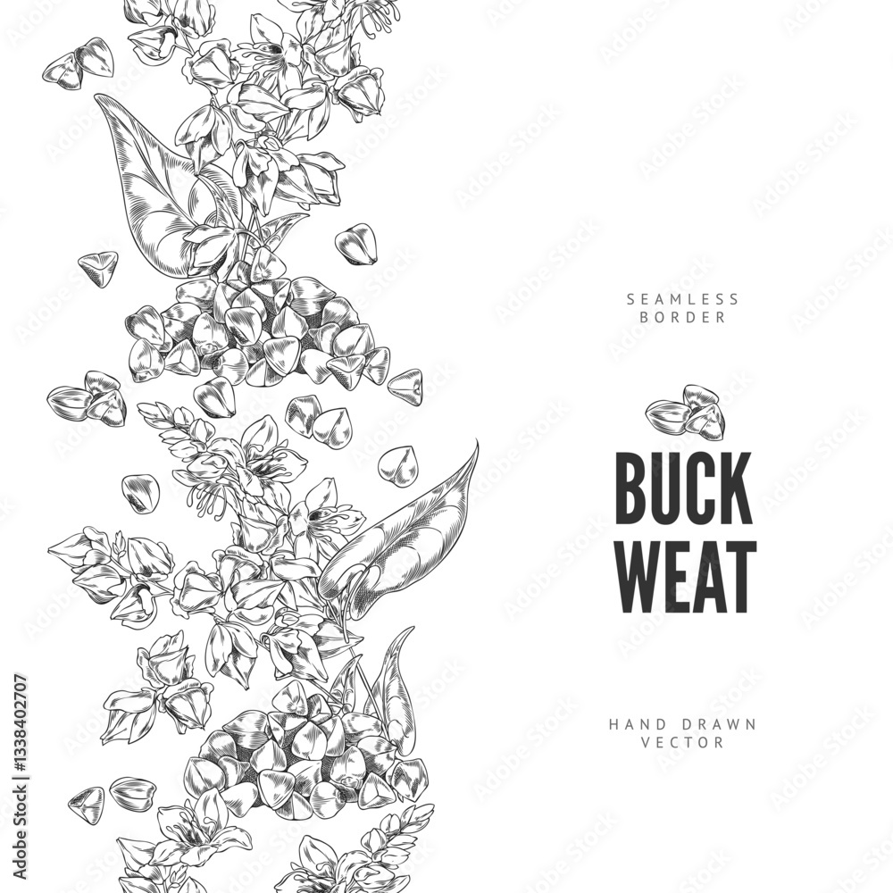 Fototapeta premium Buckwheat branch with flowers, leaves and seeds engraved sketch vector seamless border design, agricultural products