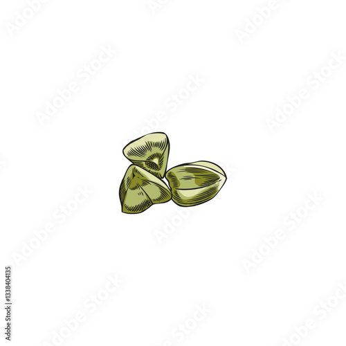 Watercolor illustration of ripe, green kernels, buckwheat sketch.