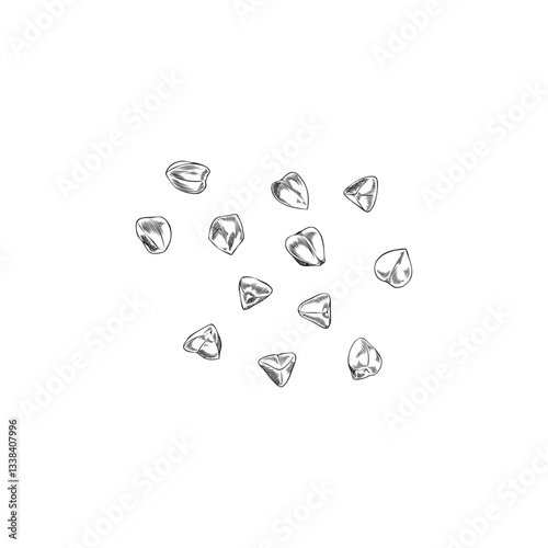 Buckwheat grains in pencil sketch on isolated background.