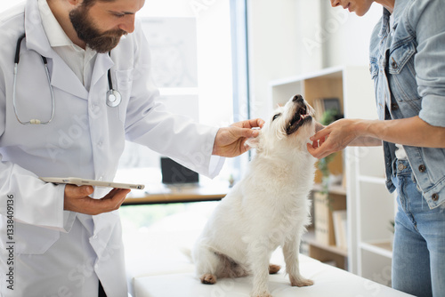 Man veterinarian and woman dog owner in a veterinary clinic performing a checkup on a small white dog. Brightly lit room with professional atmosphere. Concept of pet healthcare and medical care.