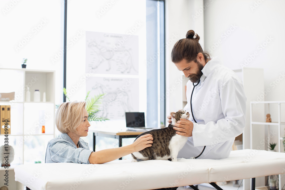 Male veterinarian using stethoscope to check health of tabby cat, female owner assisting, in modern clinic. Image showcasing healthcare, animals, compassion, and care. Male veterinarian using stethoscope to check health of tabby cat, female owner assisting, in modern clinic. Image showcasing healthcare, animals, compassion, and care.