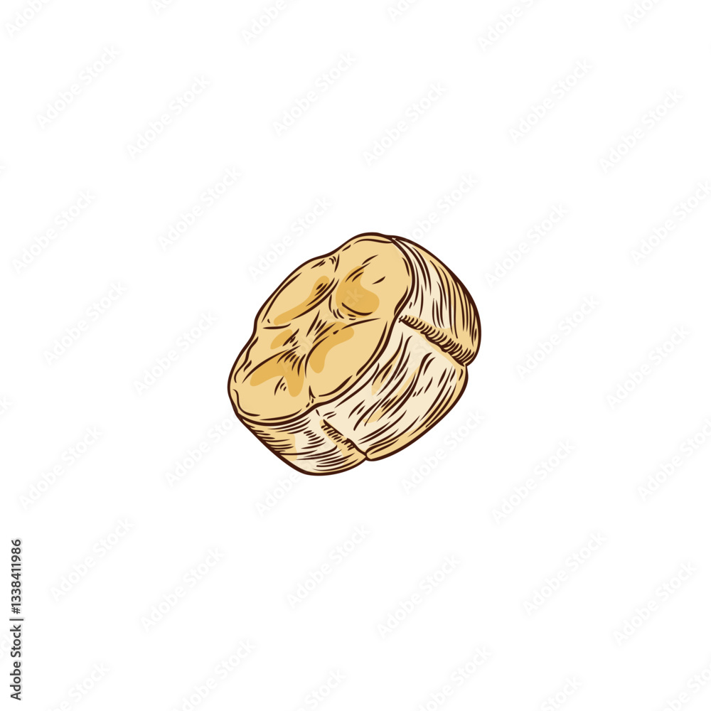 Fototapeta premium Slice of bananas hand drawn vector illustration, tropical fresh fruit piece sketch, farm natural sweet food isolated