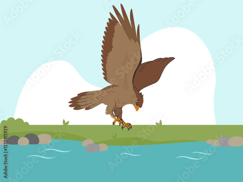 Hawk Concept Illustration Stylish and Beautiful
