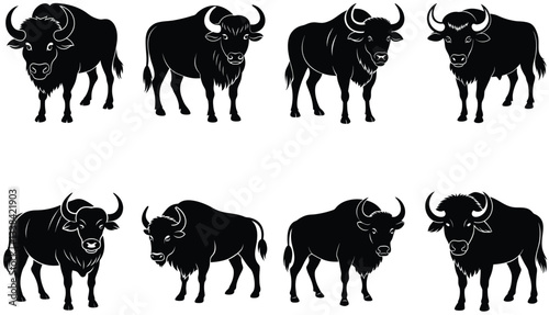 Buffalo Vector Shilhouette Bundle set