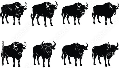 Buffalo Vector Shilhouette Bundle set