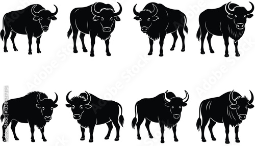 Buffalo Vector Shilhouette Bundle set