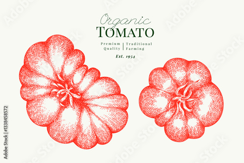 Hand Drawn Tomato Illustration. Retro Vegetable Vector Isolated Image. Old School Farm Food.