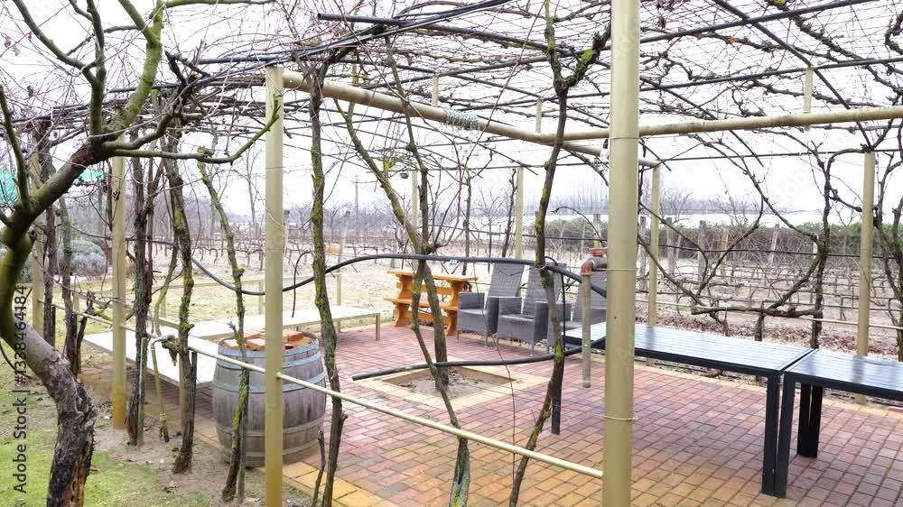 Relaxing outdoor garden with seating area and grapevine-covered pergola Relaxing outdoor garden with seating area and grapevine-covered pergola