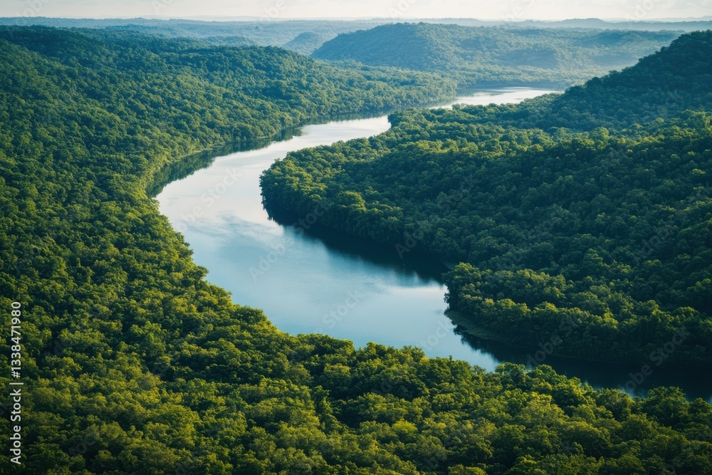 Amazon River and Rainforest Ecosystem from Bird's Eye View Amazon River and Rainforest Ecosystem from Bird's Eye View