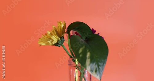 Flowers Spinning Against An Orange Background