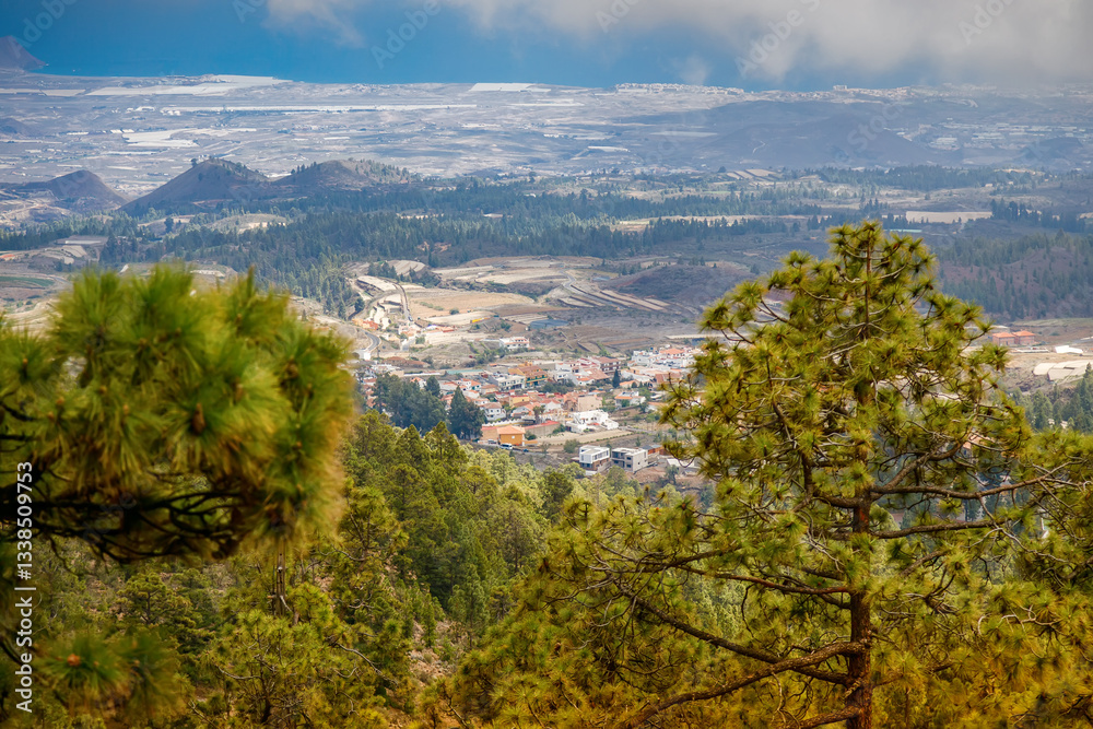 Expansive landscape featuring lush, forested hills in Tenerife. Agricultural fields are visible among the trees