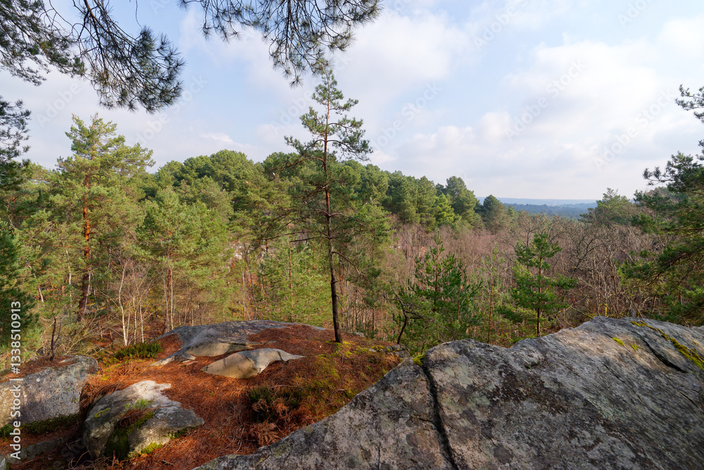 Obraz premium Denecourt path 6 in the Apremont gorges. fontainebleau forest