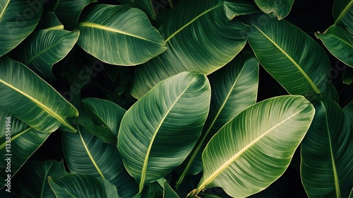A fresh tropical leaf pattern perfect for a summer background.