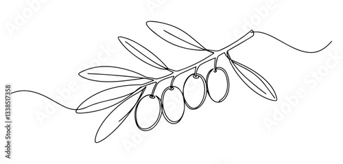olive branch with leaves and fruits drawn in elegant one line illustration