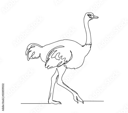 african ostrich standing tall with long legs drawn in simple line art