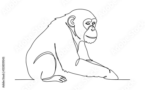 chimpanzee sitting and observing drawn in minimalist one line style