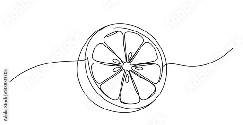 citrus slice showing segments drawn in clean continuous line illustration
