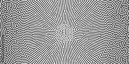 Abstract pattern background. Organic halftone background. Vector organic pattern of line and psychedelic illusion dots maze and irregular cells on black white zebra background