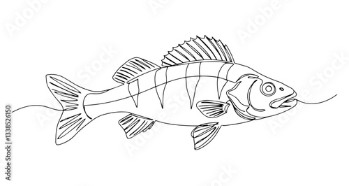 perch fish hand drawing one line vector monoline