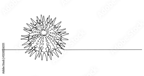 sea urchin marine ocean spiky creature vector monoline one line line art