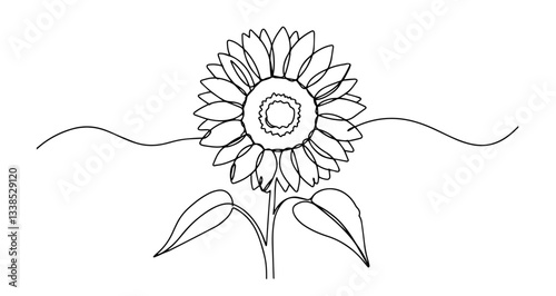sunflower flower illustration line art one line vector monoline
