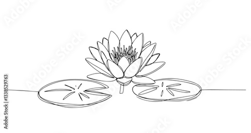 water lily flower pond leaves vector monoline one line line art sketch illustration