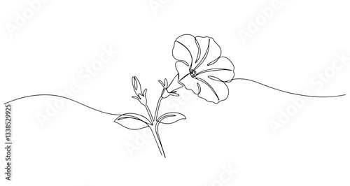 morning glory flower vine vector monoline one line line art sketch illustration