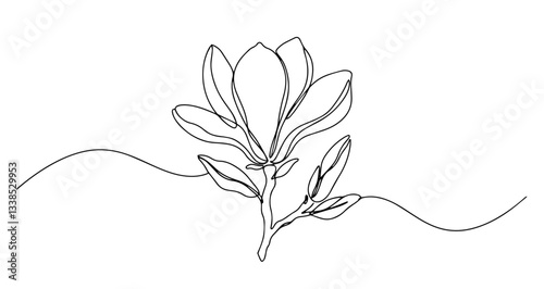 magnolia flower branch vector monoline one line line art sketch illustration