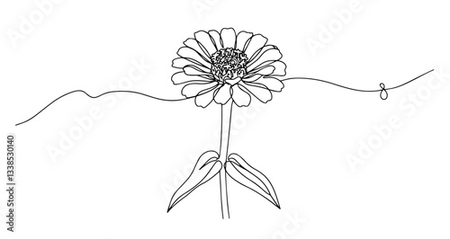 zinnia flower vector monoline one line line art sketch illustration