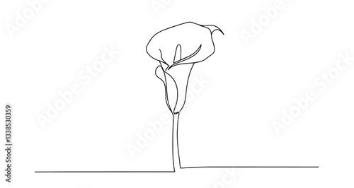 calla lily flower vector monoline one line line art sketch illustration