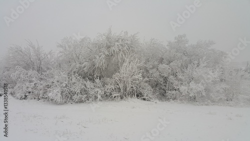 Wallpaper Mural Frosty steppe landscape covered in a thick layer of snow, showcasing barren trees etched in white against a gray sky. The serene winter scene evokes tranquility and isolation. Torontodigital.ca