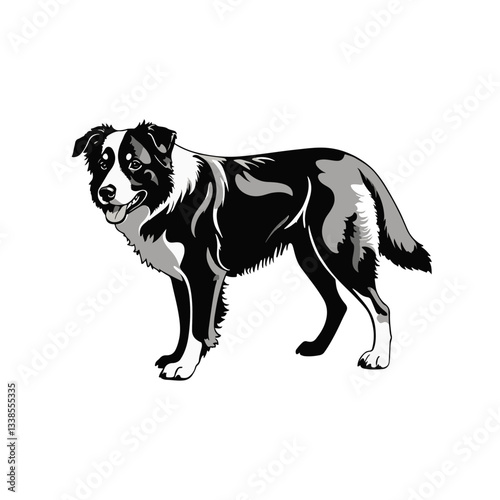 Black and White Silhouette Illustration of a Australian Shepherd standing alert in a playful pose on a white background showcasing its sleek form and attentive expression