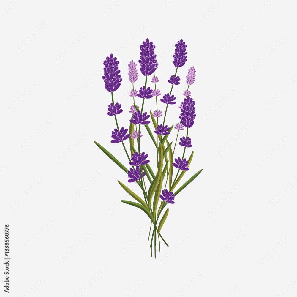 Fototapeta premium Isolated lavender flower bunch on a subtle backdrop, ideal for Mothers Day themes