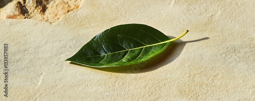 A single fresh green leaf resting on a solid beige surface with no shadow