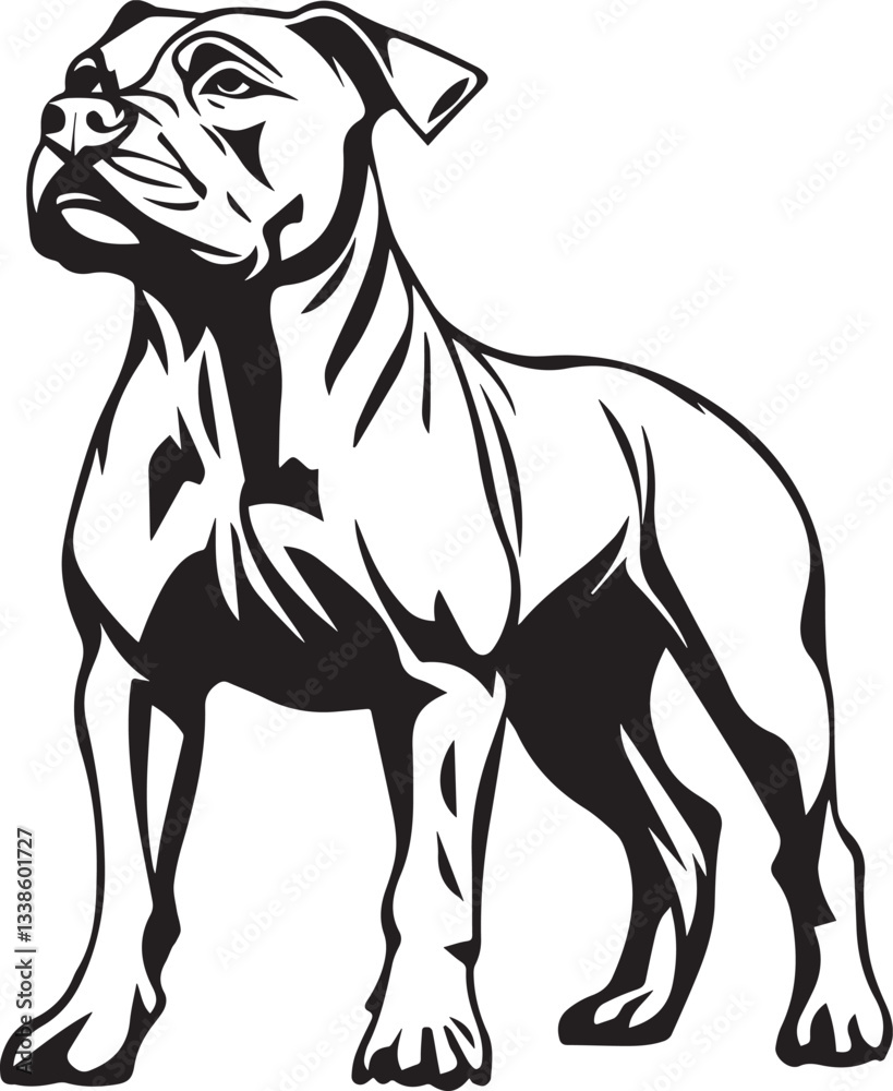 Fototapeta premium black and white american staffordshire terrier portrait