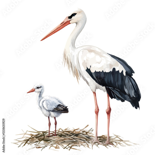 A watercolor vector painting of a mother stork with her kid, isolated on a white background. Stork vector.

