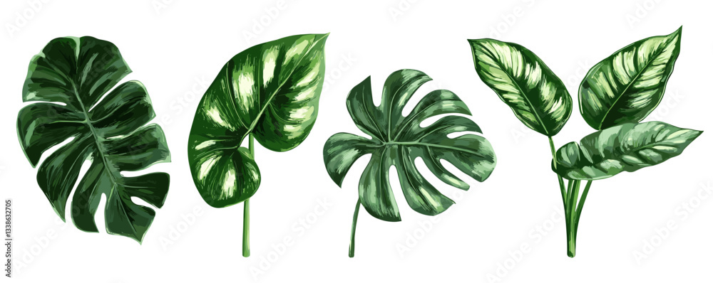 Obraz premium Variety of tropical green leaves: monstera, philodendron, and aglaonema on white background.
