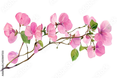Watercolor Painting of Delicate Pink Flowers on a Branch with Green Leaves and Transparent Background