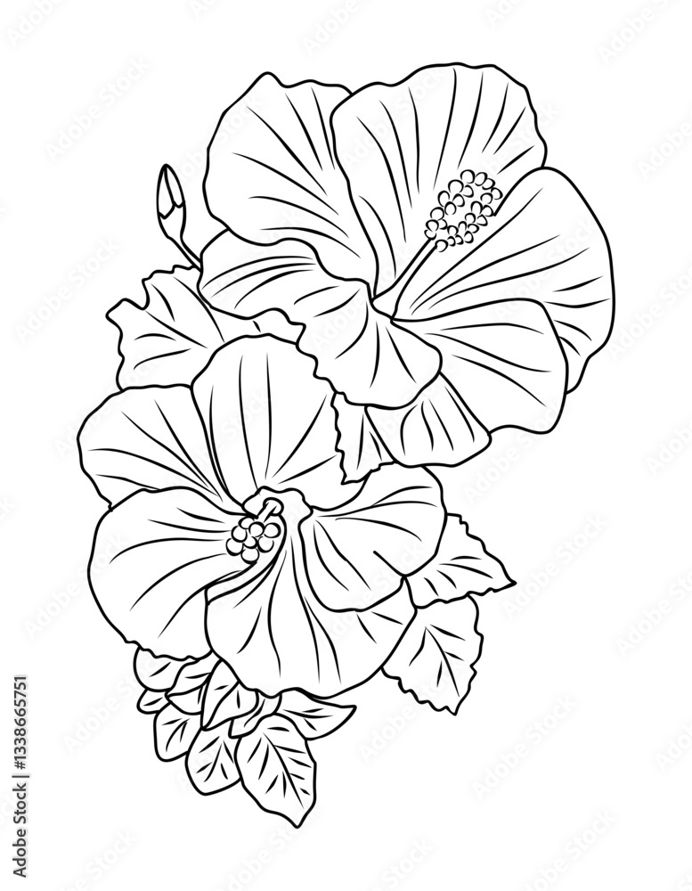 Fototapeta premium Hibiscus flower line art vector botanical illustration. Tropical blooms with leaves hand drawn black ink sketch. Modern design for logo, tattoo, wall art, invitations, cards, branding and packaging.