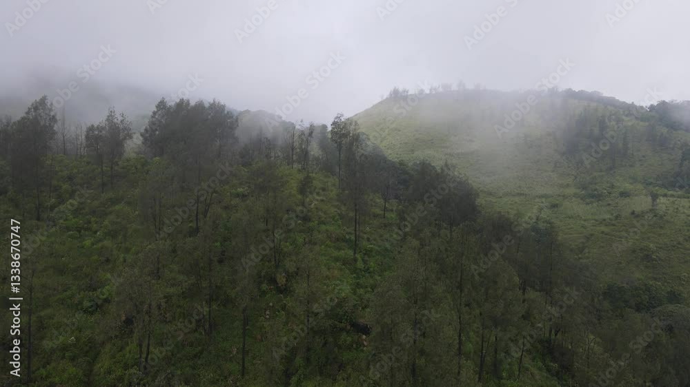 misty morning in the mountains misty morning in the mountains