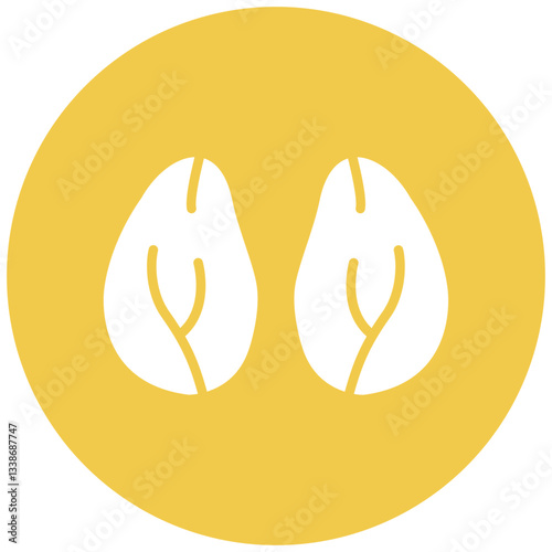 Kidney Icon