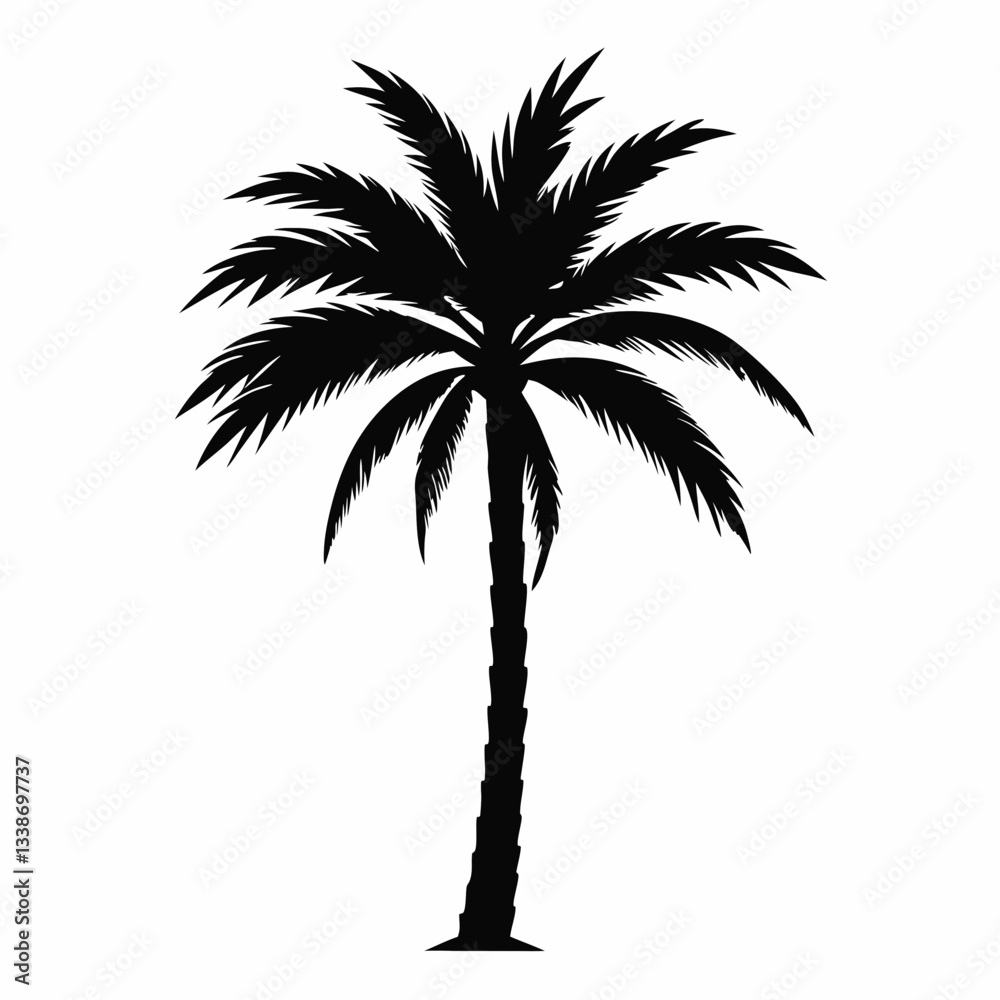 Silhouette of tropical palm trees on a white background Silhouette of tropical palm trees on a white background