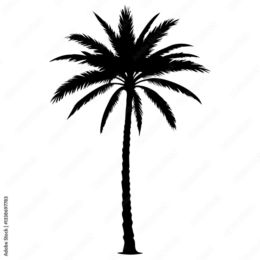 Silhouette of tropical palm trees on a white background Silhouette of tropical palm trees on a white background
