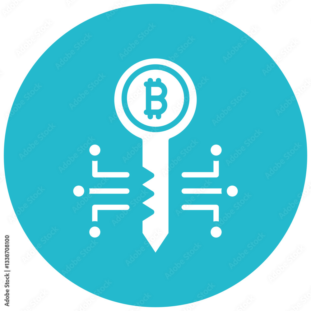 Private Key Icon Private Key Icon