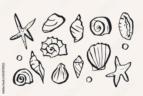 Hand drawn ink seashells collection