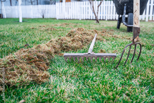 Rake and pitchfork on the lawn after cleaning the grass from last year's dry grass, lawn care