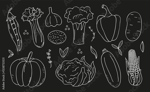 Doodle set of fresh, organic farm vegetables including tomatoes, potatoes, carrots, eggplants, pumpkins, onions, and garlic on black background.