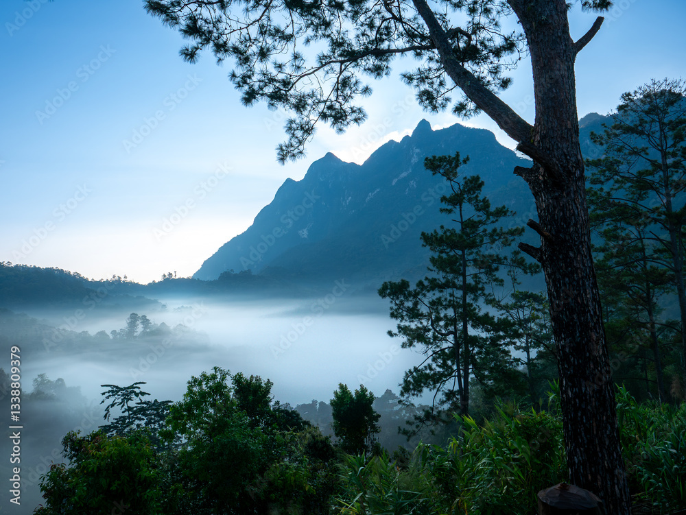 Obraz premium Forest Shadow, Foggy Doi Luang