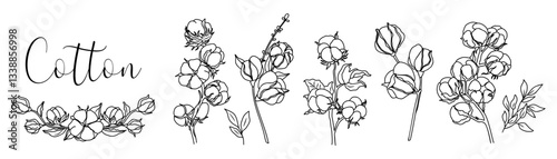 Set of cotton flower and branch monochrome drawings. Collection of different floral bud plants. Botanical trendy greenery vector illustration isolated on white background for logo, label, card design.