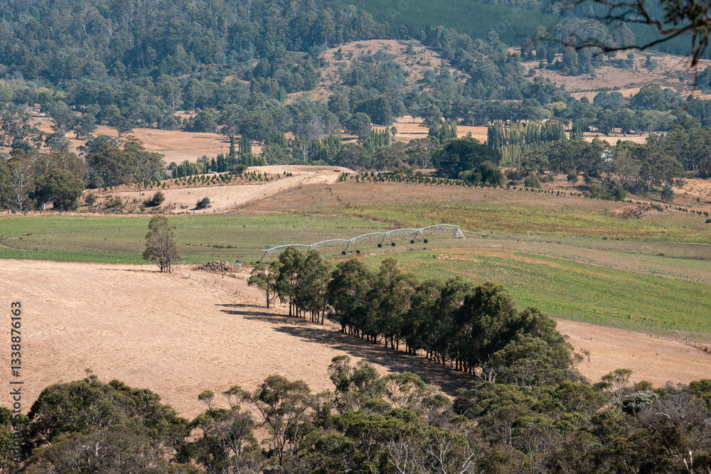 Fototapeta premium Agricultural pivot on a regenerative agriculture farm. Sustainable agriculture in Australia. Round pivot. Circular cropping.